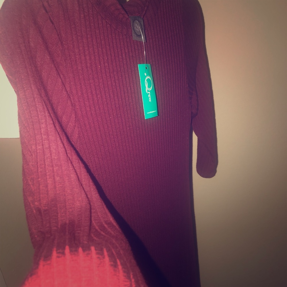 Maroon Fitted Dress